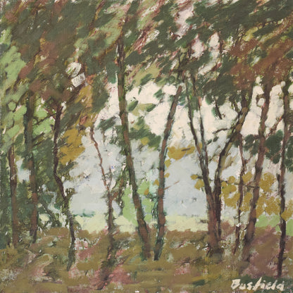 Impressionist Plein Air Trees and Light. Oil by Brian Busfield