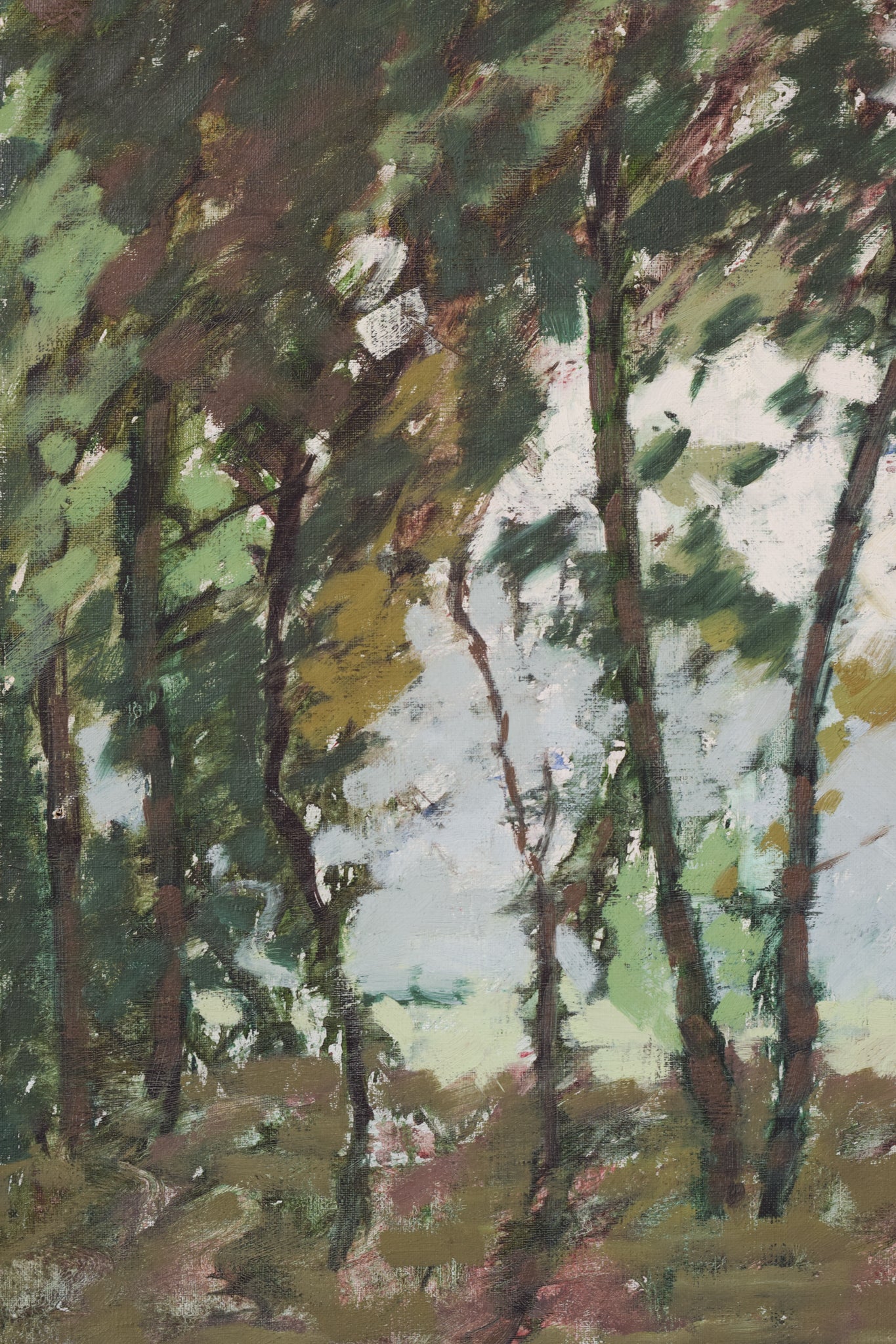 Impressionist Plein Air Trees and Light. Oil by Brian Busfield