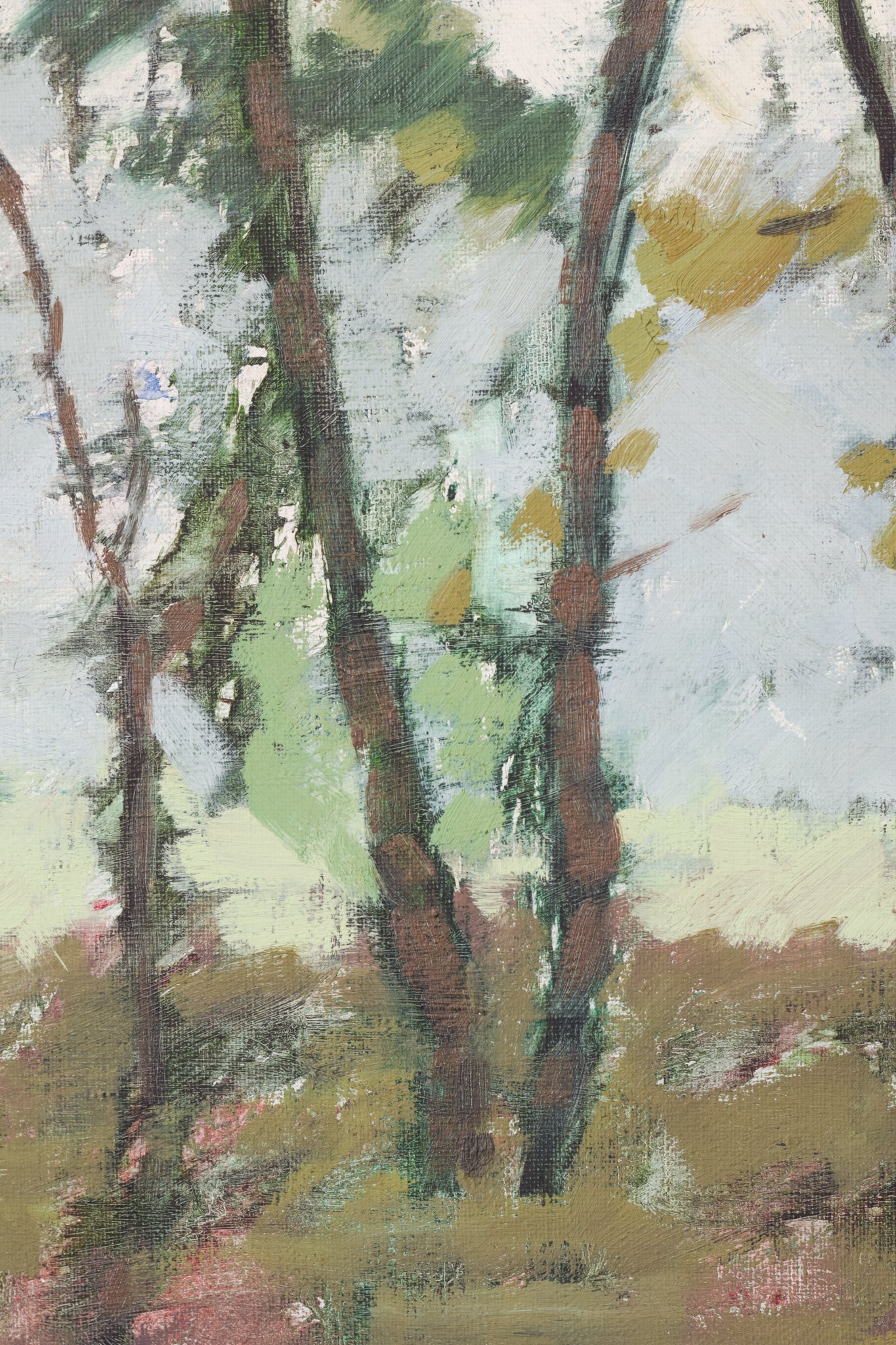 Impressionist Plein Air Trees and Light. Oil by Brian Busfield