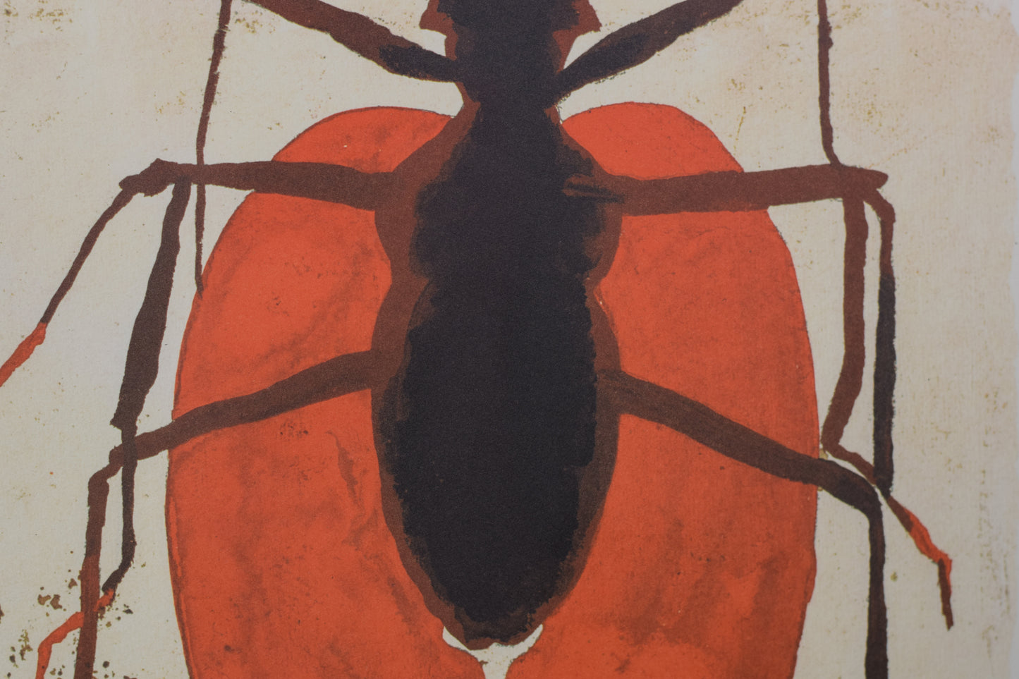 Queen Ant Lithograph in Red and Black_Detail 2