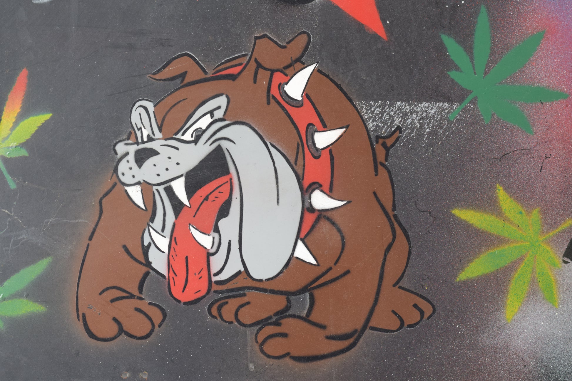 Street Art with Graffiti design_Butch the Bulldog
